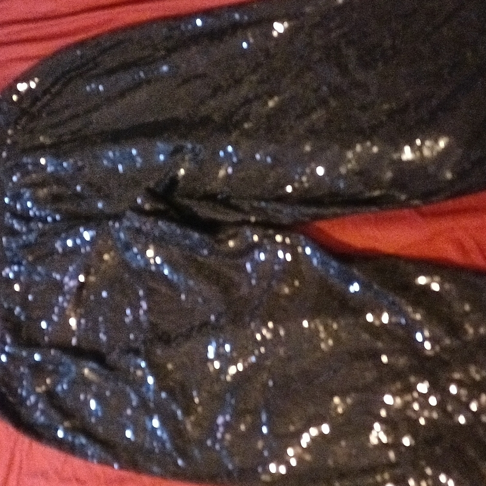 Sequined Pants - Picture 3 of 4
